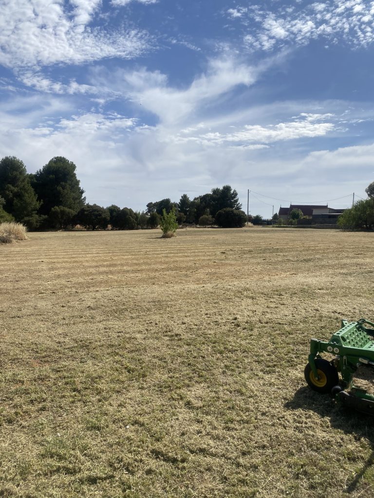 Large Lot Mowing in Junee by Macs Commercial Mowing